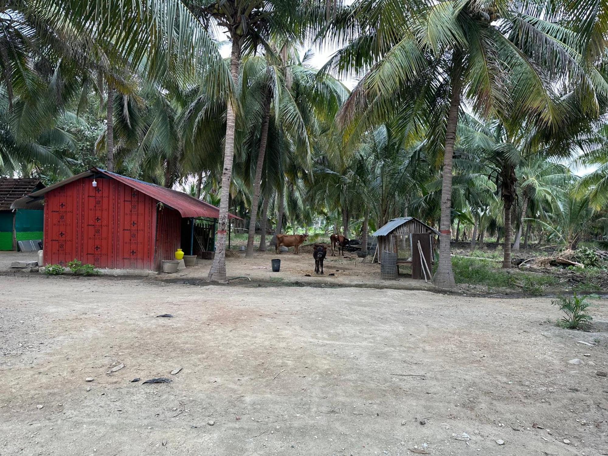 Sakthi Garden Home Stay Erode Exteriér fotografie